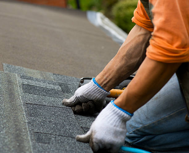 Best Roof Leak Repair  in Southfield, MI